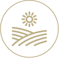 CENTURY 21 Judge Fite Company - farm and ranch icon_gold